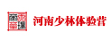河南少林夏令营